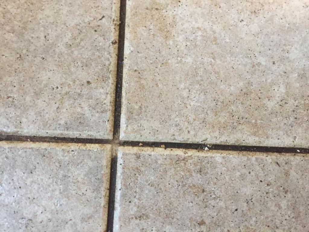 brudna fuga między płytkami