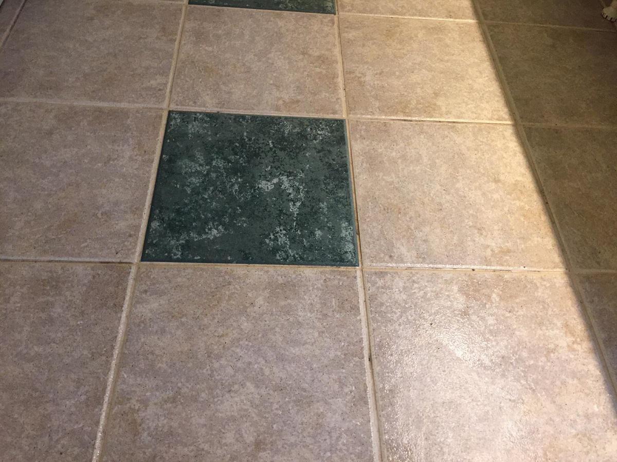 czyste płytki i fugi na podłodze