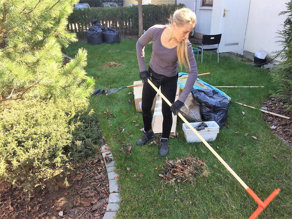 grabienie liści w ogrodzie